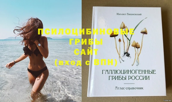 бошки Баксан