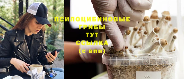 дурь Балахна